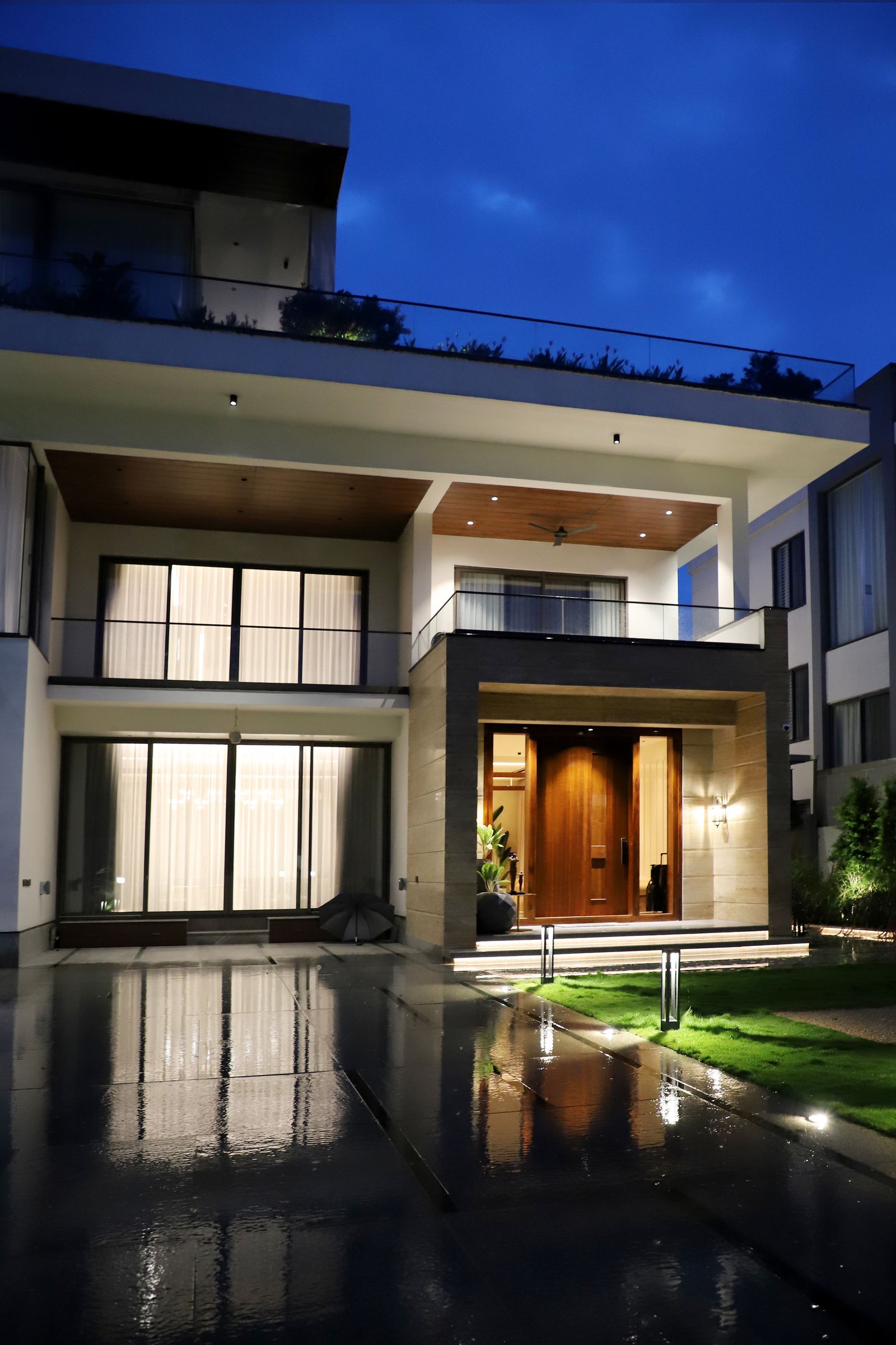 LED Christmas Lights used in an outdoor setting
