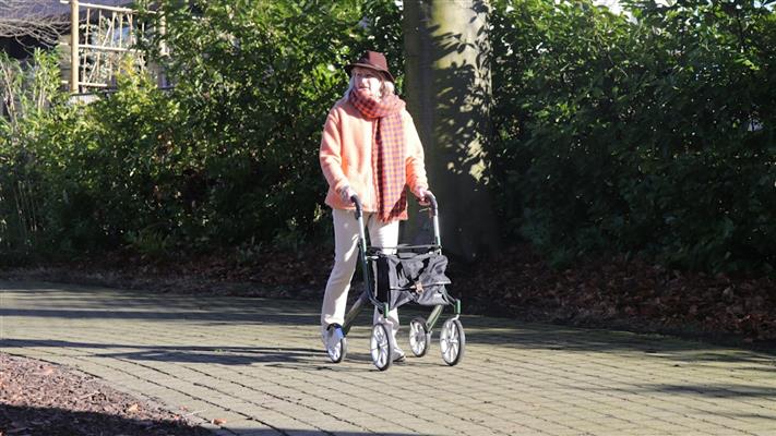 Gentle tai chi for seniors practice in a safe, uncluttered setting